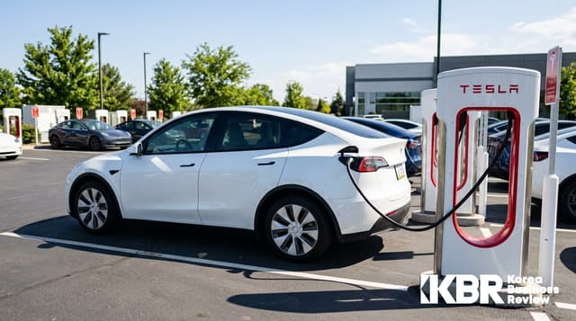 수입차 3대 중 1대가 테슬라…2026 자동차 시장 뒤흔든 'EV 돌풍'